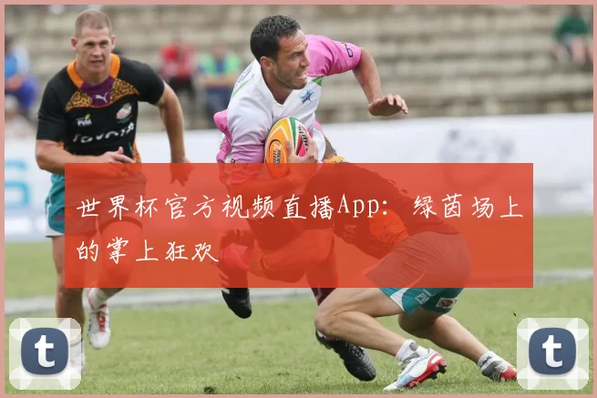 世界杯官方视频直播App:绿茵场上的掌上狂欢