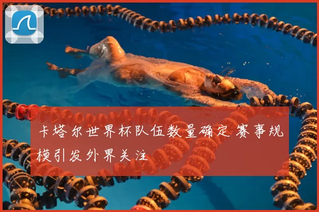 卡塔尔世界杯队伍数量确定 赛事规模引发外界关注