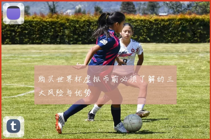 购买世界杯虚拟币前必须了解的三大风险与优势
