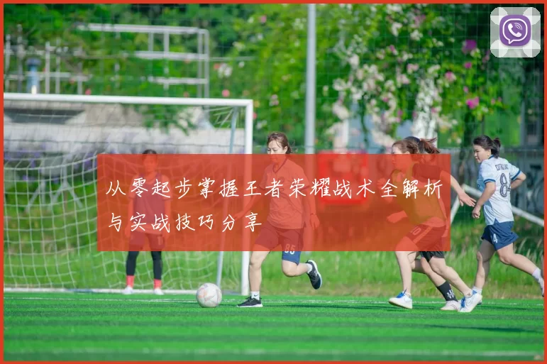从零起步掌握王者荣耀战术全解析与实战技巧分享