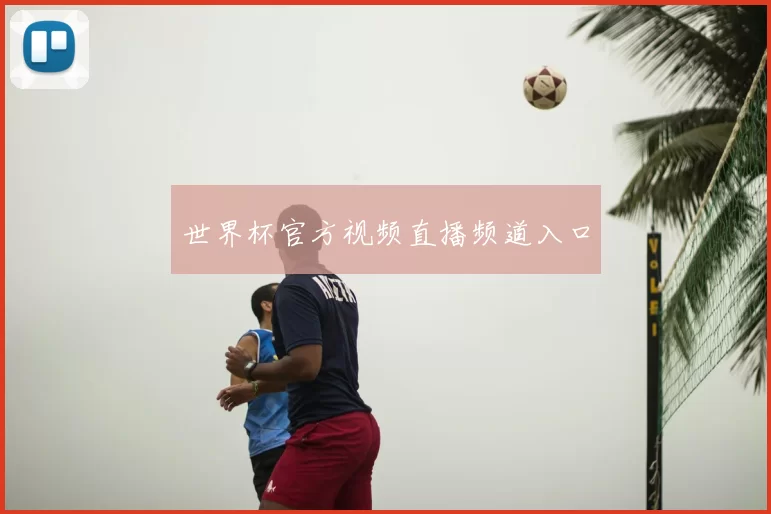 世界杯官方视频直播频道入口