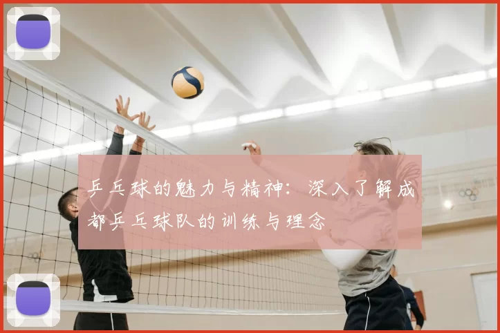 乒乓球的魅力与精神：深入了解成都乒乓球队的训练与理念