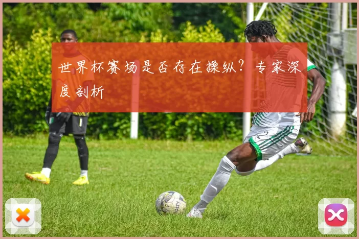 世界杯赛场是否存在操纵?专家深度剖析