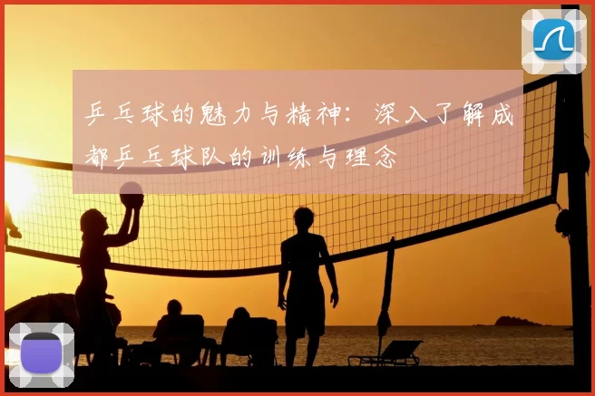 乒乓球的魅力与精神：深入了解成都乒乓球队的训练与理念