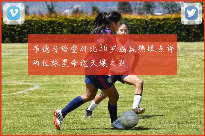 韦德与哈登对比36岁成就热媒点评两位球星命运天壤之别