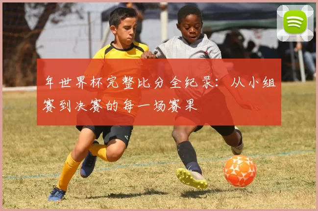 年世界杯完整比分全纪录：从小组赛到决赛的每一场赛果