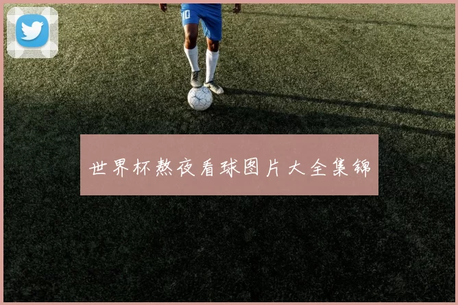 世界杯熬夜看球图片大全集锦