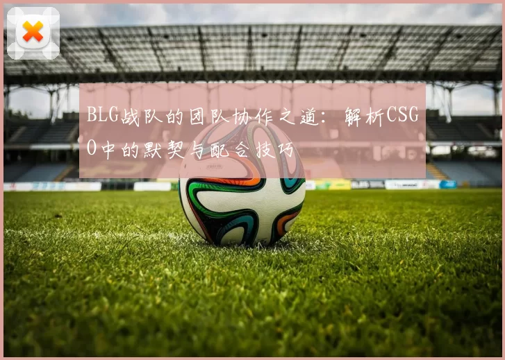 BLG战队的团队协作之道：解析CSGO中的默契与配合技巧