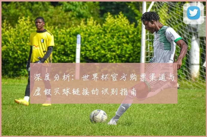 深度分析:世界杯官方购票渠道与虚假买球链接的识别指南